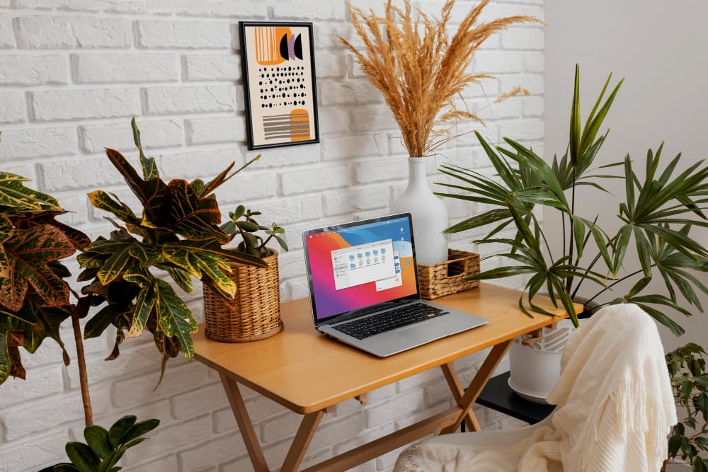 Desk or Tabletop Plants, Interior design