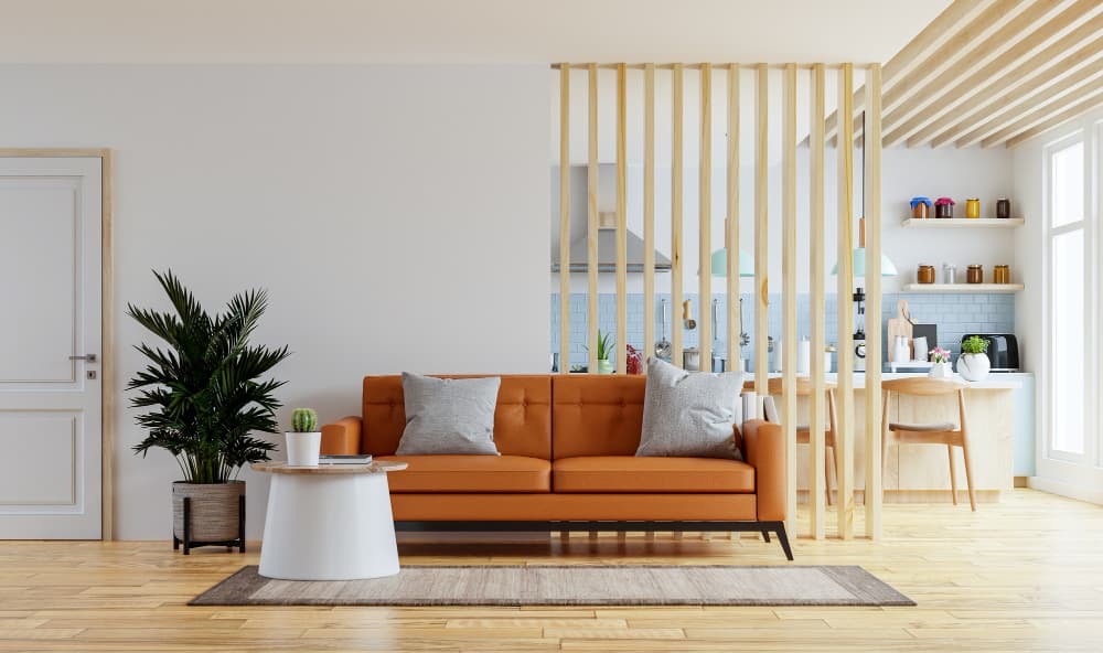 Minimalistic Living Room Interior design