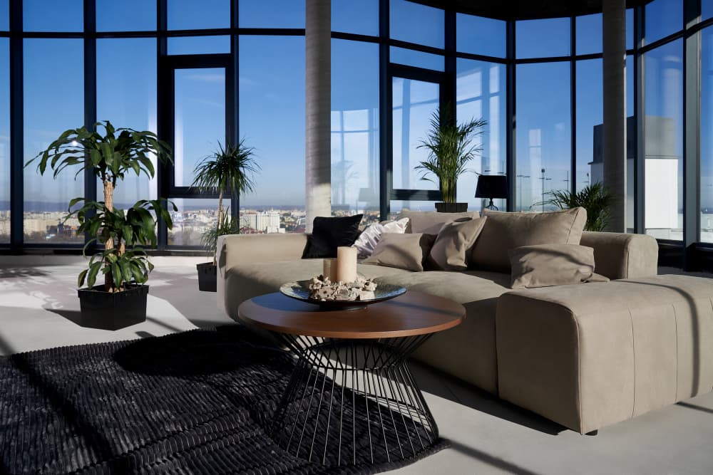 West Coast Contemporary Living Room Interior design