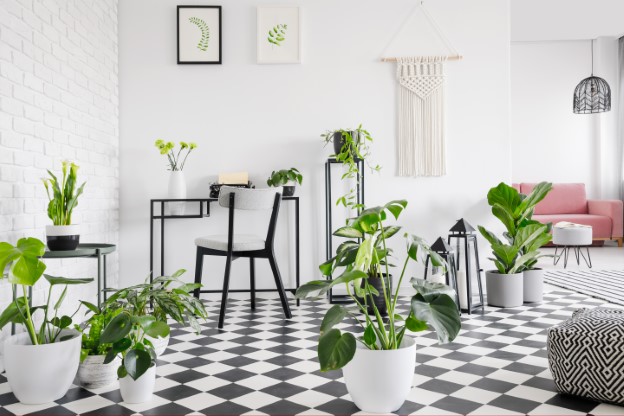 Fill the Floor with plants in living room