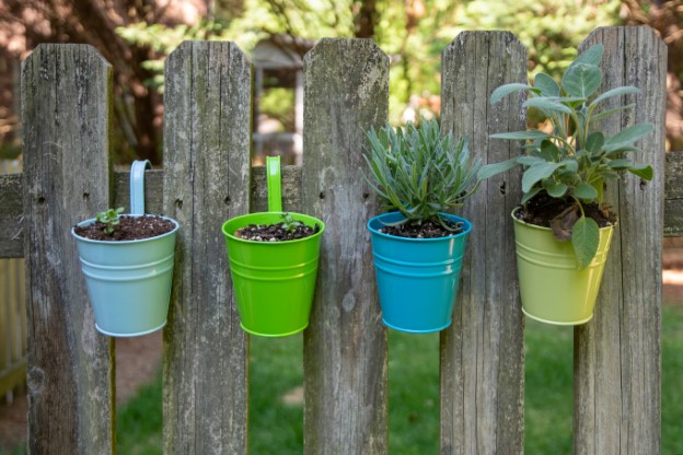 Hanging Plants On Wall