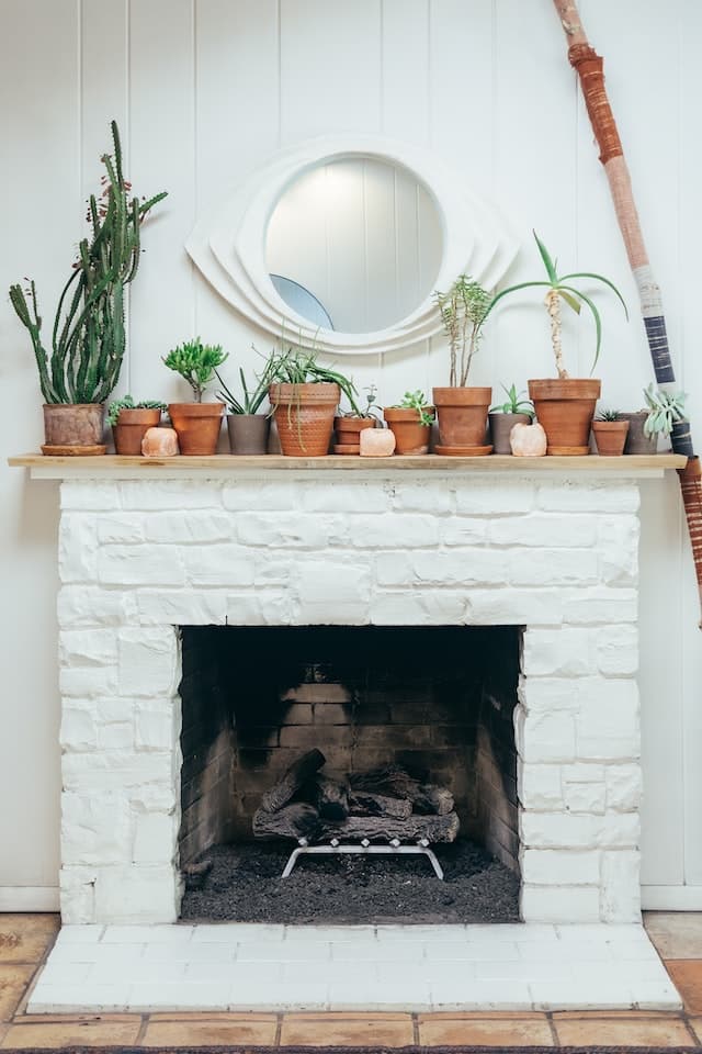 Place plants on Aesthetic Fireplaces