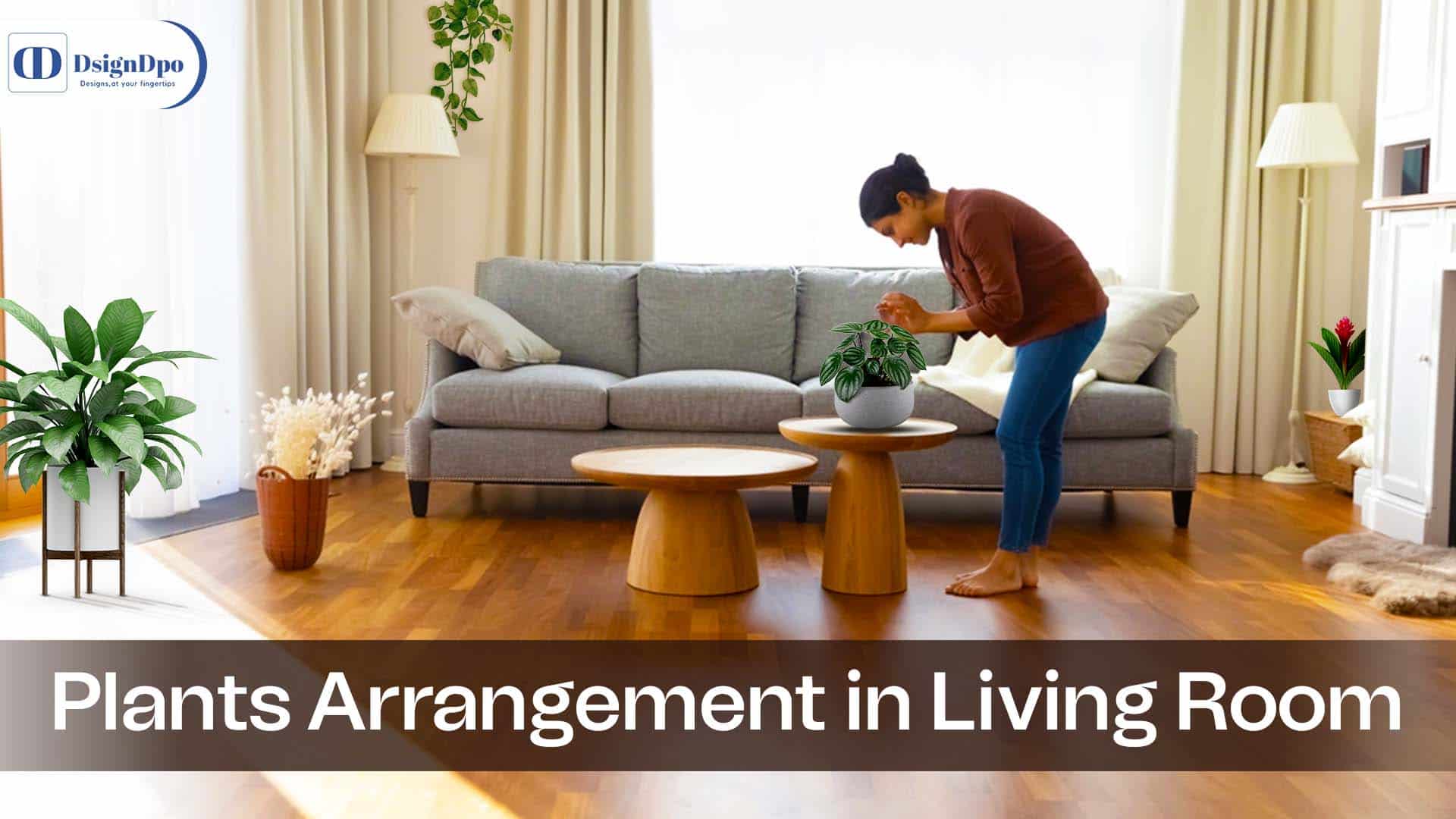 Plants Arrange In Living Room