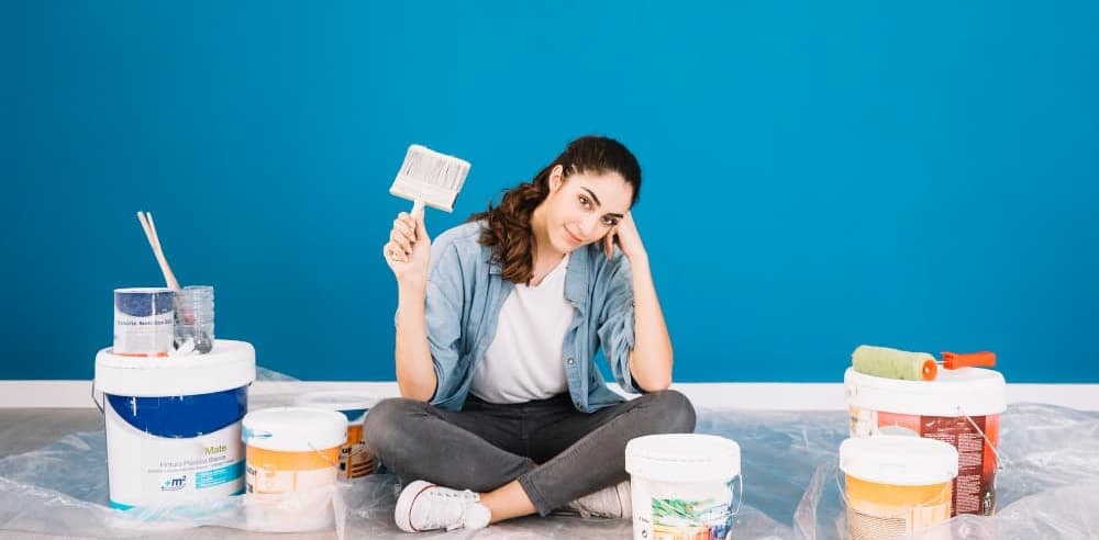 what are the different types of Paints for house